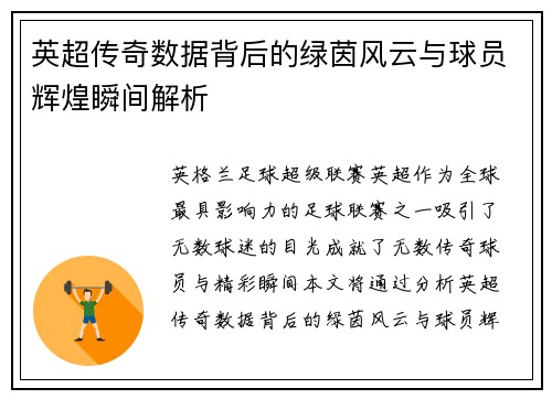 英超传奇数据背后的绿茵风云与球员辉煌瞬间解析